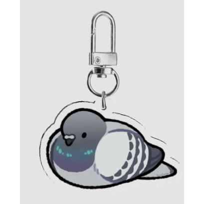 Checkered Pigeon Acrylic Charm | Common Name: Domestic Pigeon | Phenotype: Blue Checkered | | Specie