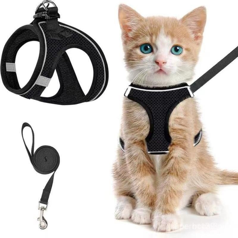 Adjustable Pet Harness & Leash Set, 2 Counts Breathable Mesh Cat Harness with Leash, Pet Kitten Coll