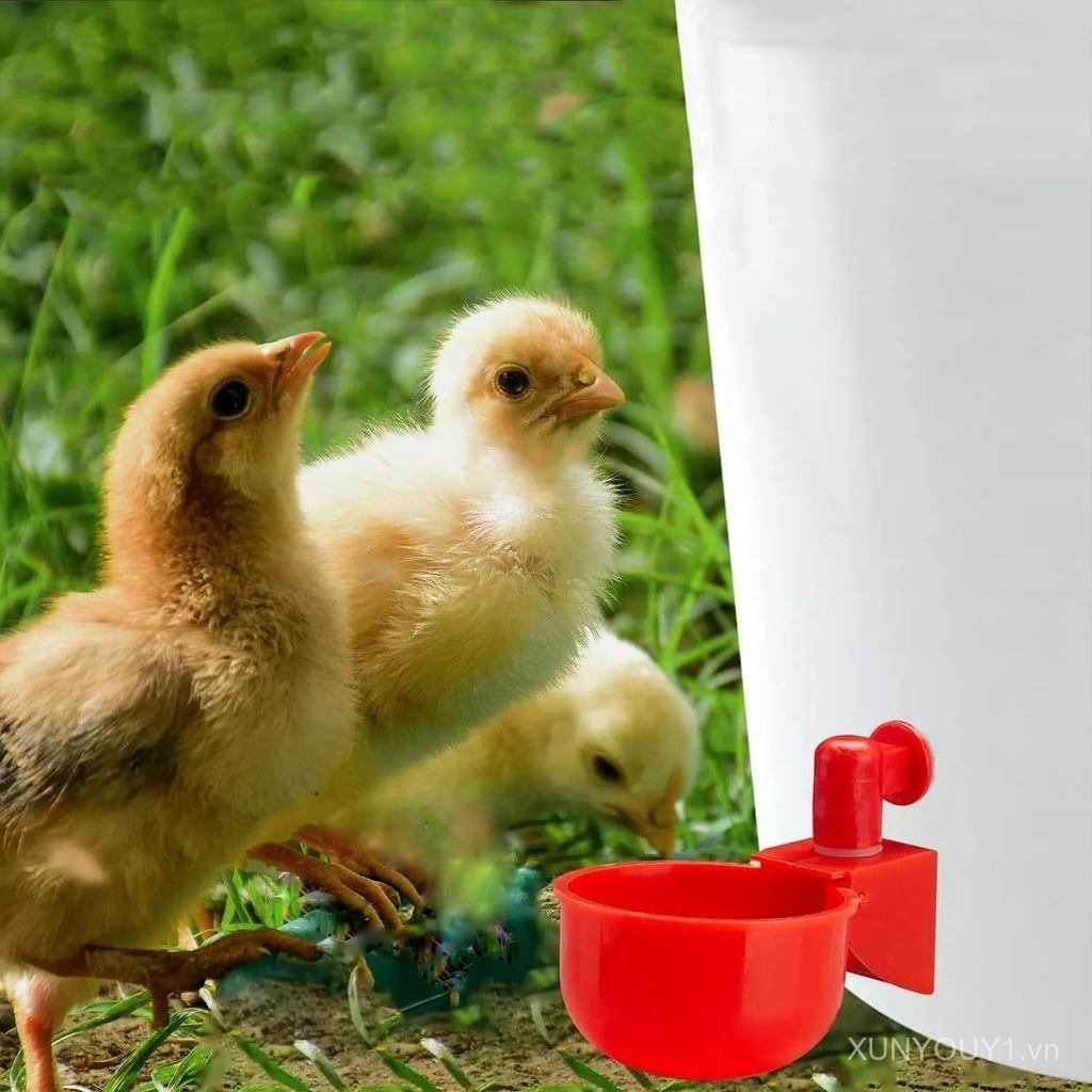 Poultry Waterer Cup – 2-Pack Automatic Drinking Bowls for Chickens, Ducks, Quail & Pigeons, Red 6.5 