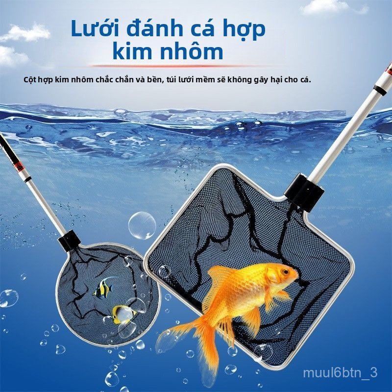 Vợt bắt cá cảnh hồ cá hợp kim nhôm cán dài cần câu cá lóc lưới lọc cá vàng tiện dụng bền bền bền