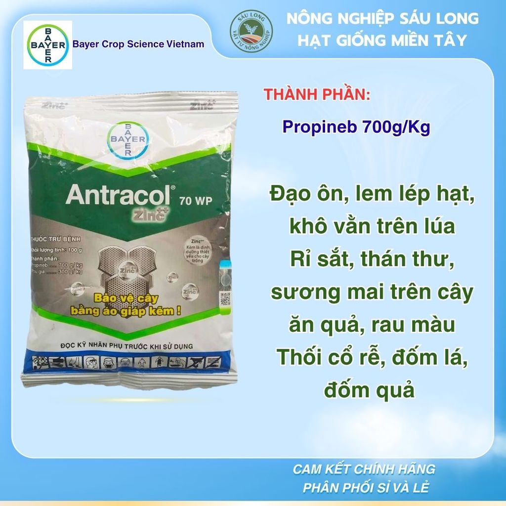 Antracol 70WP trừ nấm Zinc ++( 100Gr) Áo giáp kẽm xanh dày lá, thẳng đứng Antracol Bayer ( Gói 100 g