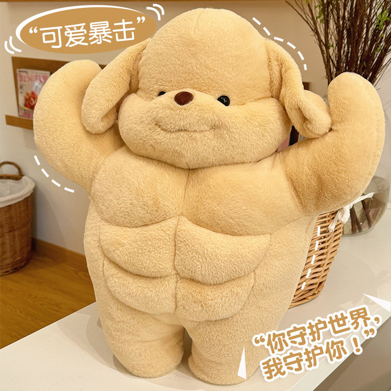 Búp Bê Poodle Cơ Macho Abs Sang Trọng Đồ Chơi Gửi Bạn Gái Bạn Trai Bạn Trai Gối Búp Bê Quà Tặng Sinh