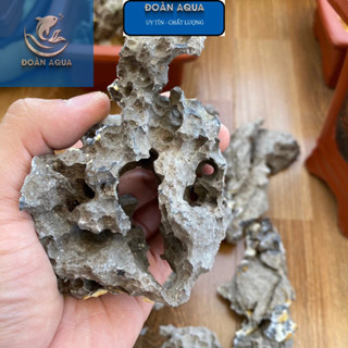 Đá Tai Mèo 1Kg Size 4-3-2-1 Viên trang trí tiểu cảnh_ghép bonsai_setup bể cá