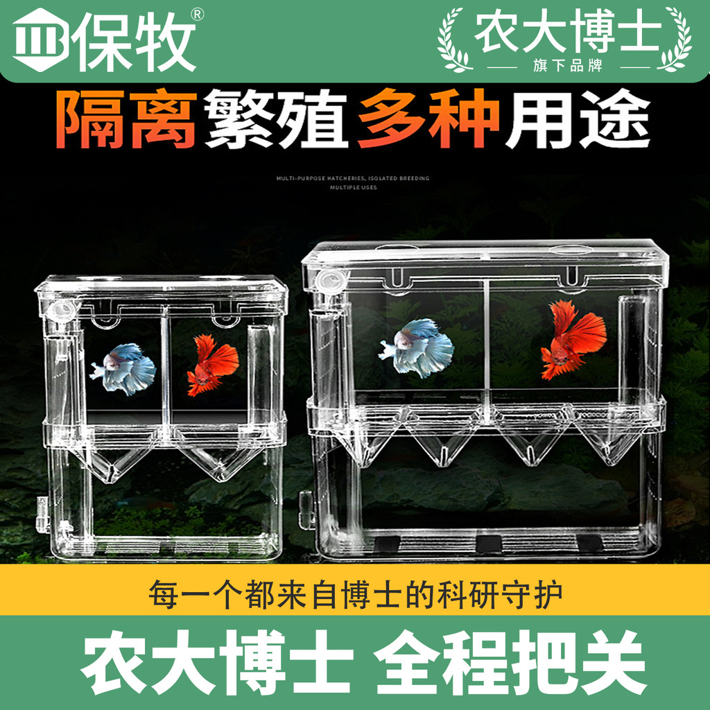 Guppy Cách ly Hộp giống cá nhỏ Hộp cách ly bể cá cá cá chiên Acrylic Guppy Chuyên dụng nở cách ly