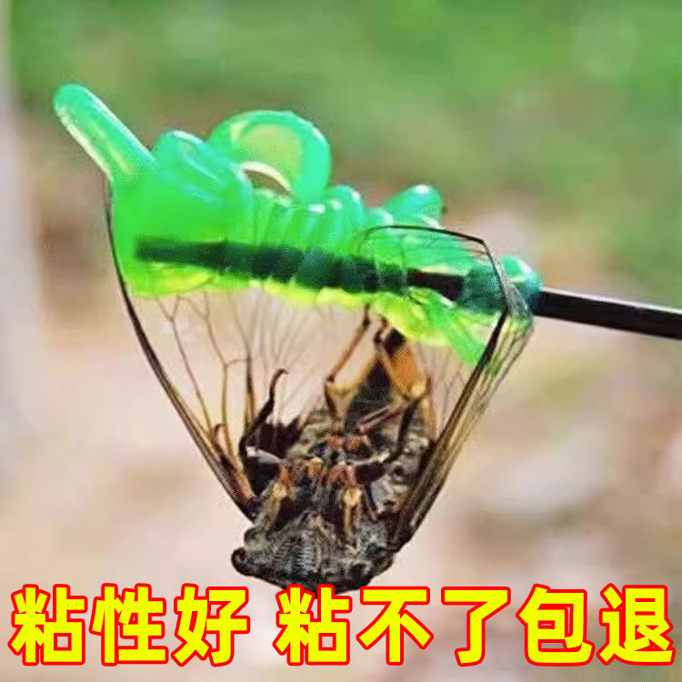 Dính Cicada Keo Tay Nhỏ Dính Cicada Dính Cicada Dính Dính-Hand Bắt Dụng Cụ Cọ Nhỏ Xanh Dính Bóng Đồ 