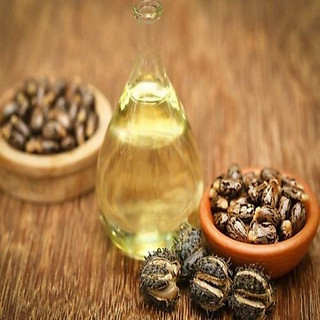 Hạt thầu dầu Tốt Cho Người Bị Trĩ, Nhanh Mọc Tóc Chuẩn