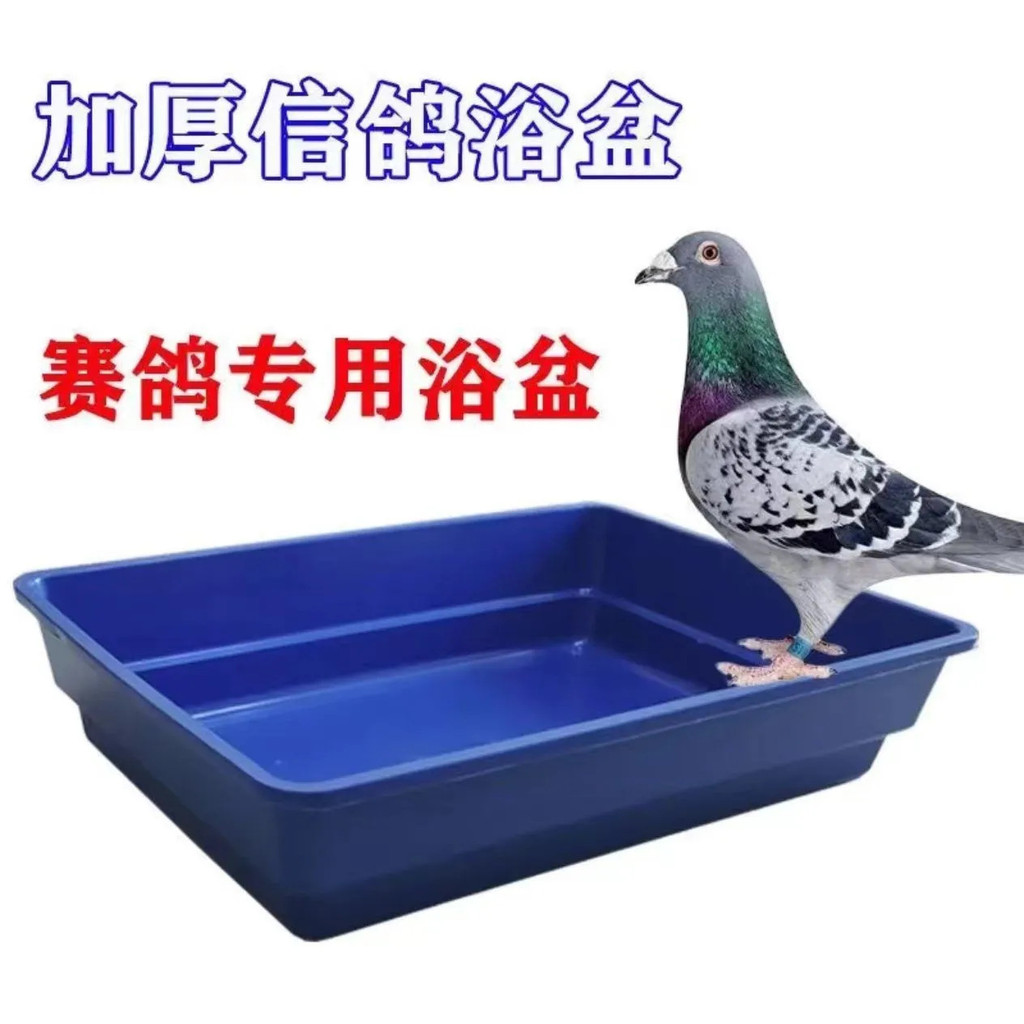 Believe Pigeon Pigeon Cung cấp Đồ dùng Giá đỡ bồn tắm Pigeon Racing Pigeon Bồn tắm Pigeon Bồn tắm Pi
