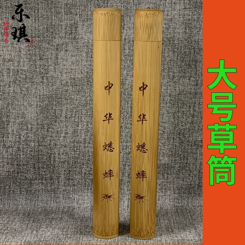 Dụng cụ cricket Đồ dùng cricket Cricket Cricket Cricket Cricket Cricket Cricket Lớn [yhs] B