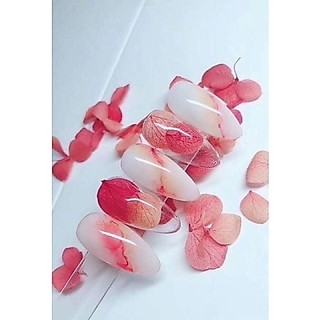 Gel đắp IBD không nóng hũ 56g hàng chính hãng