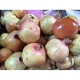 Cây lựu trắng