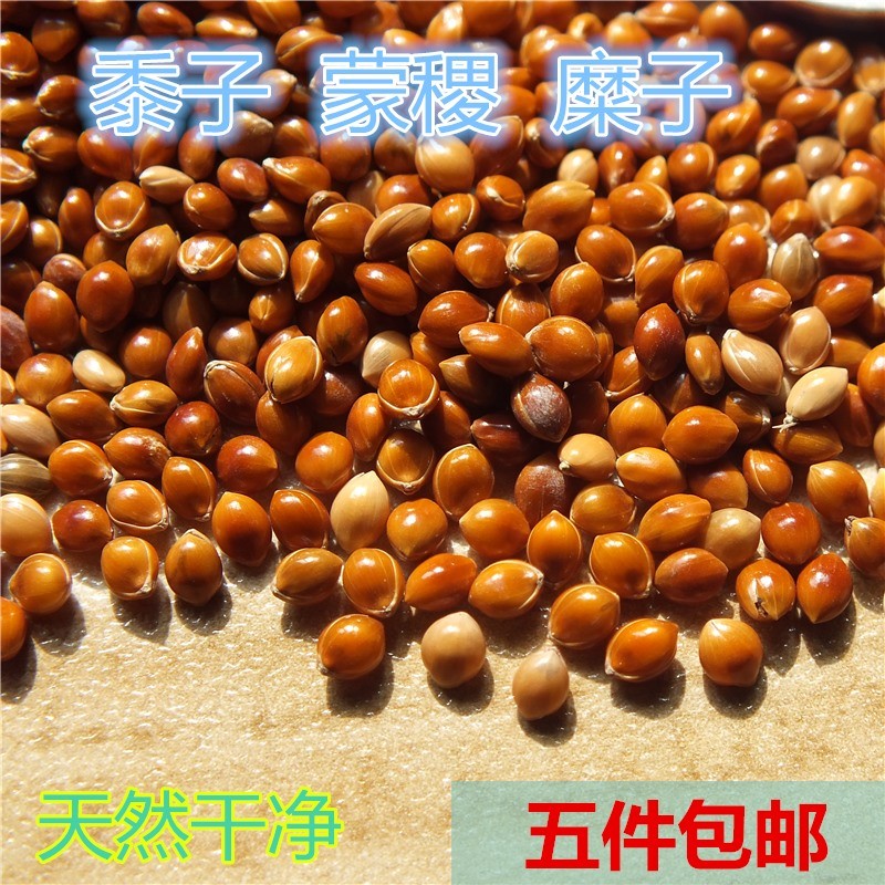 Millet Millet Mới Đỏ Mông Cổ Sơ Sinh Trẻ Em Gối Filler Hạt Vẹt Bồ Câu Thức Ăn Cho Chim Thức Ăn