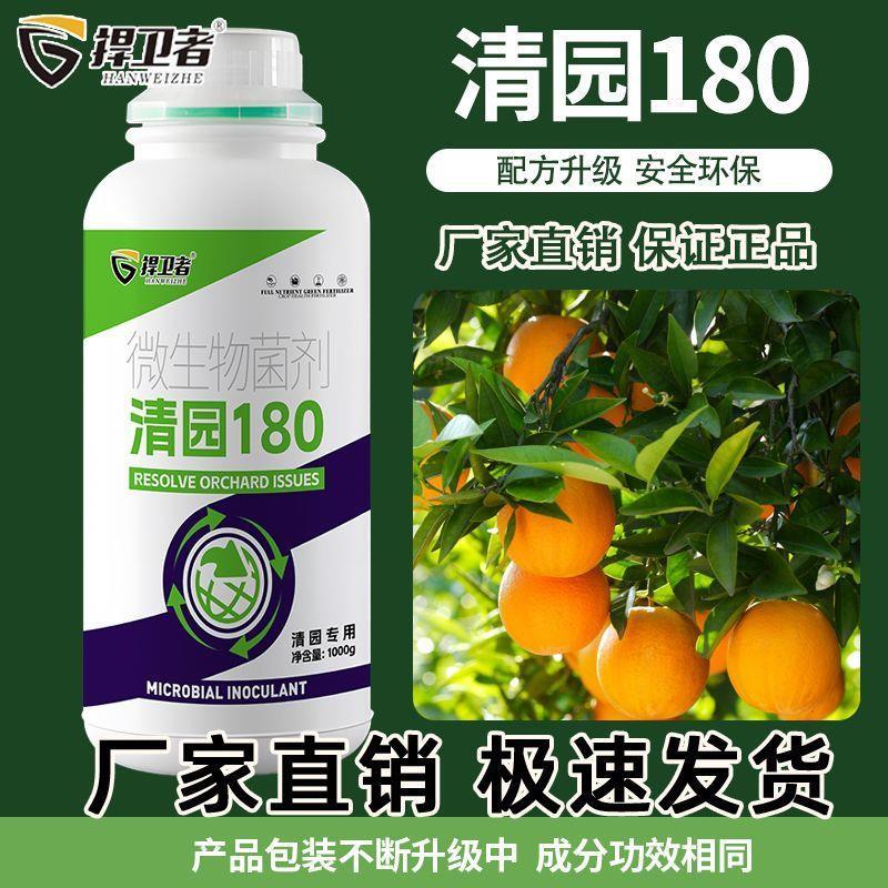 Qingyuan 180 Orchard Lắc Tinh Thần Cam quýt Orchard Nhà kính Qingyuan Cây trái cây chuyên dụng Lắc t