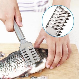 Dụng Cụ Lóc - Đánh Vảy Da Cá - HÀNG CÓ SẴN