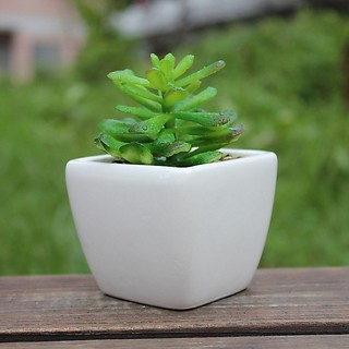 Chậu gốm sứ tráng men cao cấp