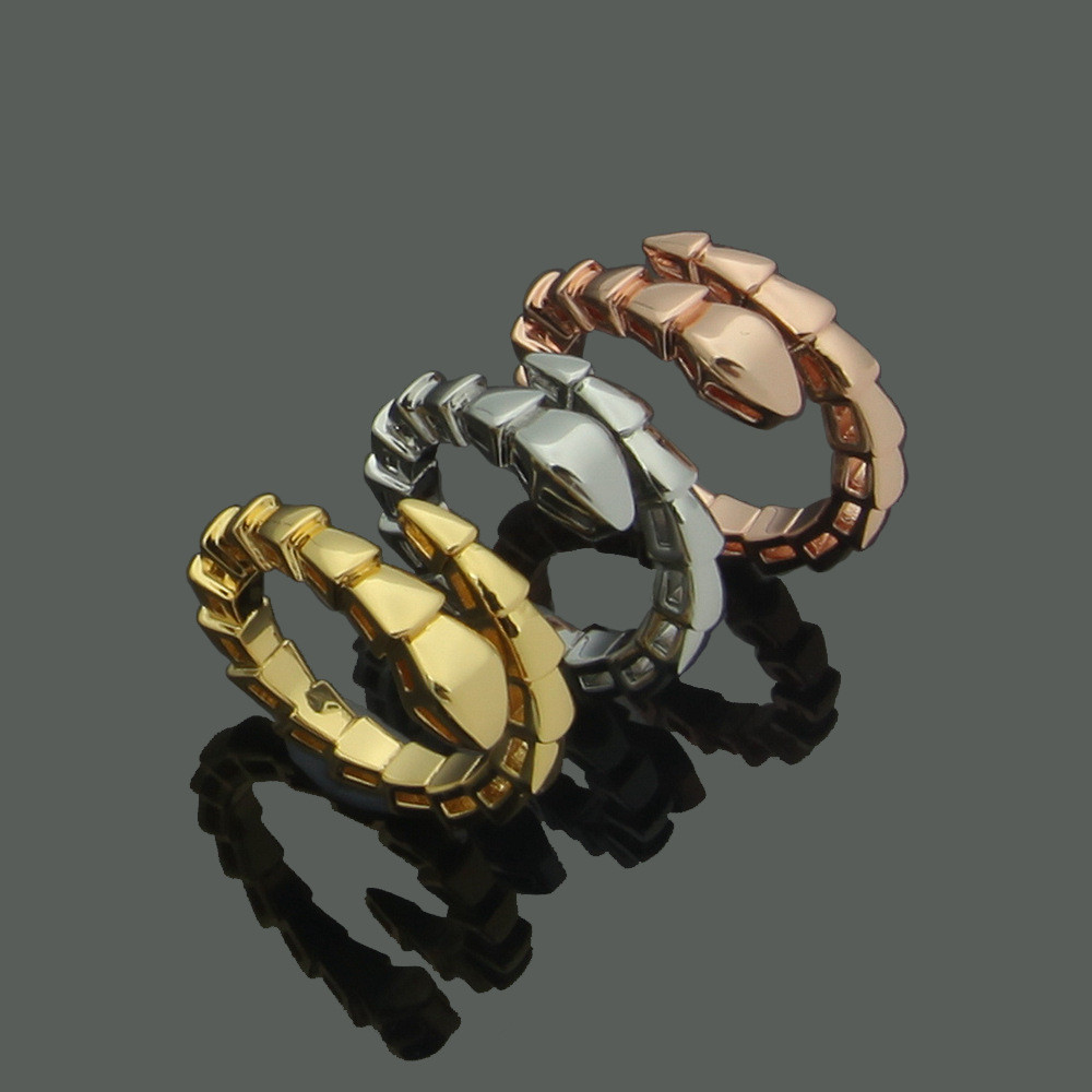GQ0V Single ring snake with exaggerated smooth surface b Ring, snake, letter, couple, bone