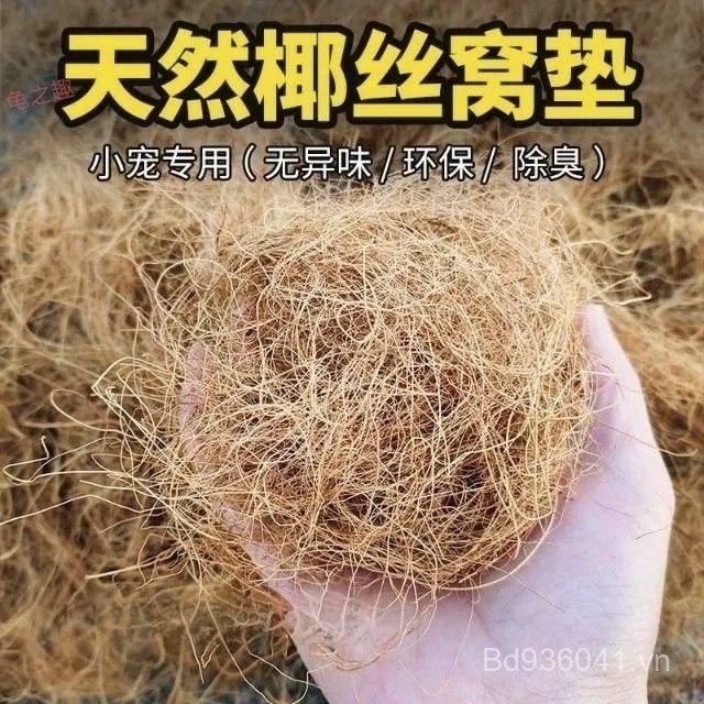 Hộp Hộp Gà Tổ Hộp Cách Nhiệt Ống Hút Bện Lud Gà Tổ Nhà Dụ Gà Dụ Gà Nuôi Gà Gà Nuôi Đầy Đủ Bộ Nhỏ Lud