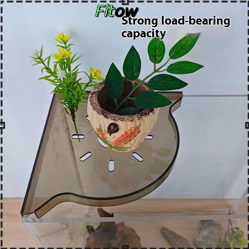 Pre Fish Tank Corner Storage Ra Punch-free Storage Ra Fish Tank Top Landscape Braet Hydroponic Green