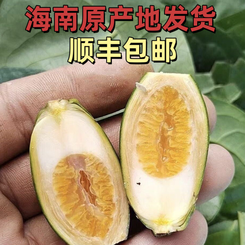 Hải Nam Tươi Nguyên Betel Nut Fruit Le Dongling Water Green Fruit Origin Freshly Picked Giao hàng tr
