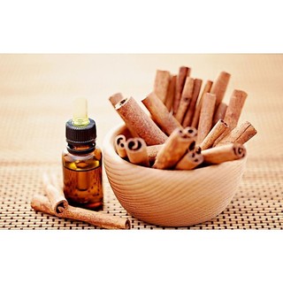 TINH DẦU QUẾ 50ML Cao Cấp nhập khẩu, Xông thơm phòng, khử mùi và thư giãn tinh thần