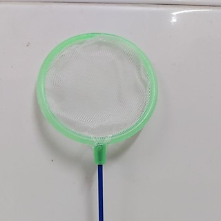 Phụ kiện bể cá: vợt mini