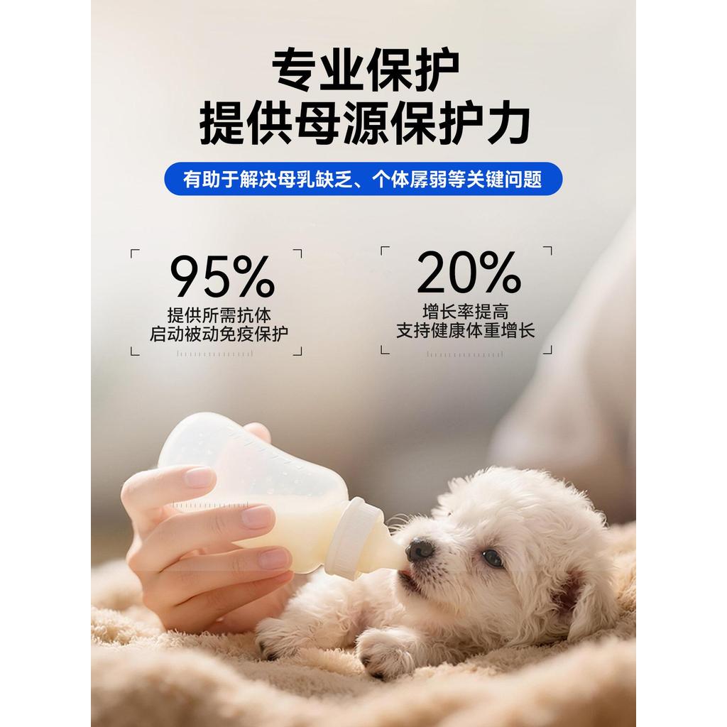 ❈ ❈ ❈ ❈ ❈ ❈ ❈ ❈ ❈ ❈ ❈ ❈ ❈ ❈ ❈ ❈ ❈ ❈ ❈ ❈ ❈ ❈ ❈ 5 粒 ❈ Wonderful House Immunoglobulin Cat Dog Tăng miễn