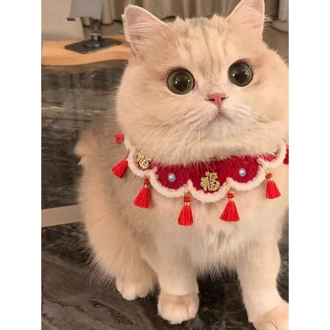 Phụ Kiện Mèo Con Cổ Thú Cưng Năm Mới Yếm Thu Đông Mèo Mèo Quần Áo Muppet Mèo Con Mèo Con Mèo Con Nướ