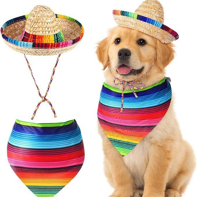 Bộ quần áo ngỗng hiên nhà Mexico Bộ trang trí 23 Inch Pet Cat Dog Mũ Mexico