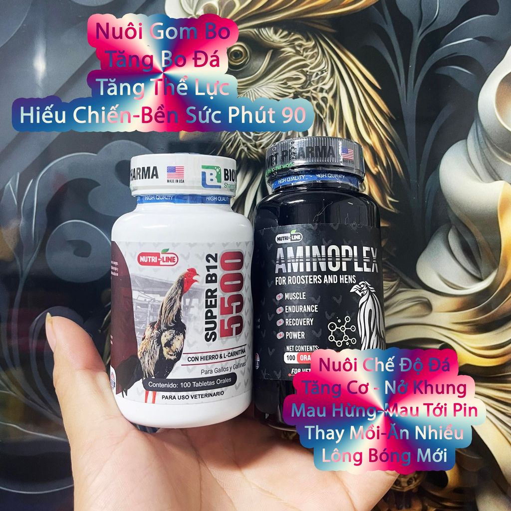 Combo Nuôi Gà Chế Độ Đá B12 5500 + Amino Thế Hệ Mới Đá Súc Cây Láp