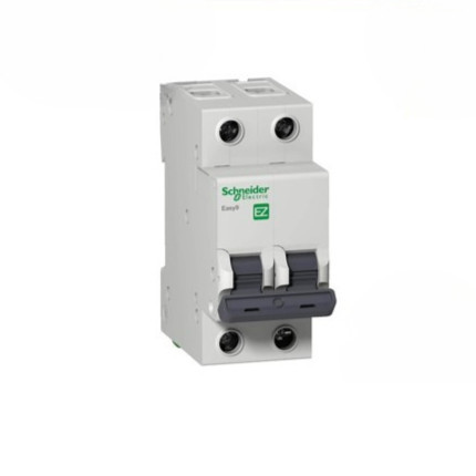 (Freeship) Aptomat 2P Easy9 Schneider EZ9F34210 EZ9F34216 EZ9F34220 EZ9F34225 EZ9F34232 EZ9F34240 EZ