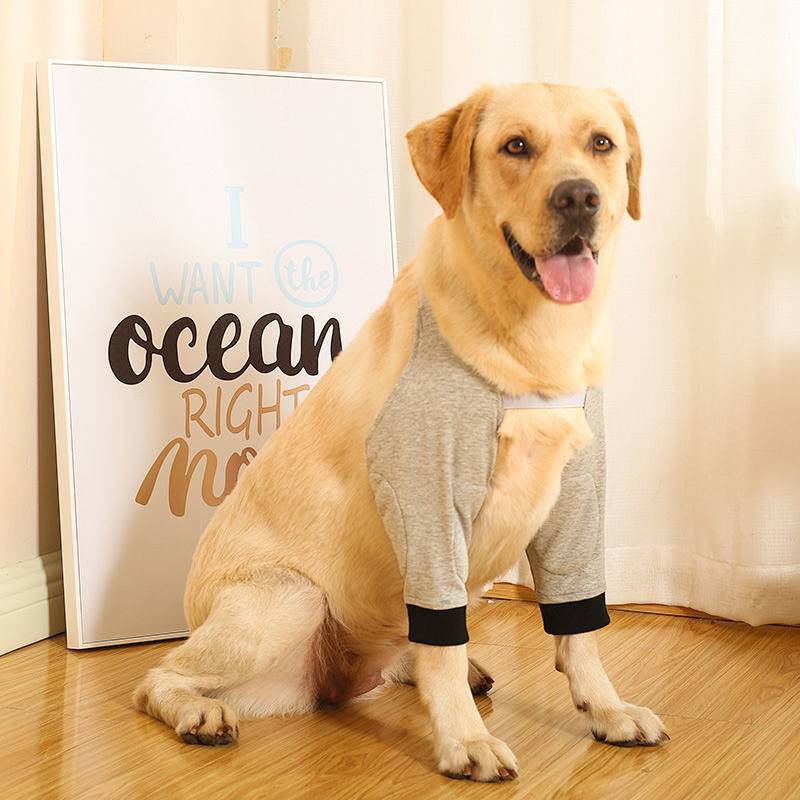 Pet Kneecap Golden Retriever Anti-Gray Joint Protection Anti-Wear Dog Kneecap Large Dog Protective C