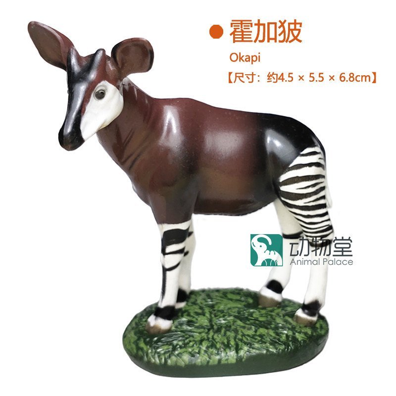 [Animal Hall] Câu lạc bộ bướm COLORATA Nhật Bản Okapi Okapi Hươu Mô hình đồ chơi hiếm