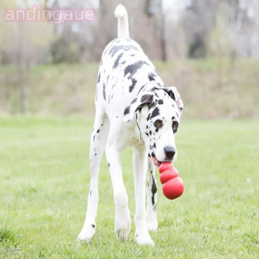 Đồ chơi cho chó ANDIN Kong, Khả năng điều trị cổ điển Đồ chơi chó con Kong, Đồ chơi nhai Erratic Bou
