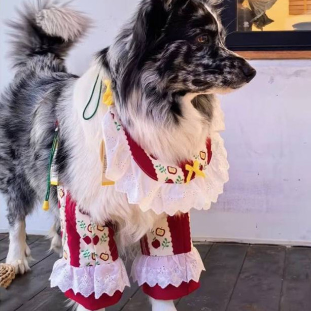 Autumn and Winter Dog Elbow Pad Knee Pad Joint Protective Cover Thickened Pet Clothing Knee Pad Wint