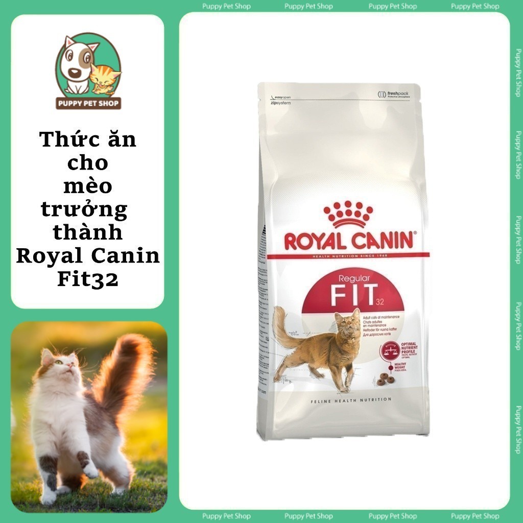 [Bao 10kg] Thức ăn hạt Royal Canin Fit32 cho mèo trưởng thành - Royal Canin Fit 32