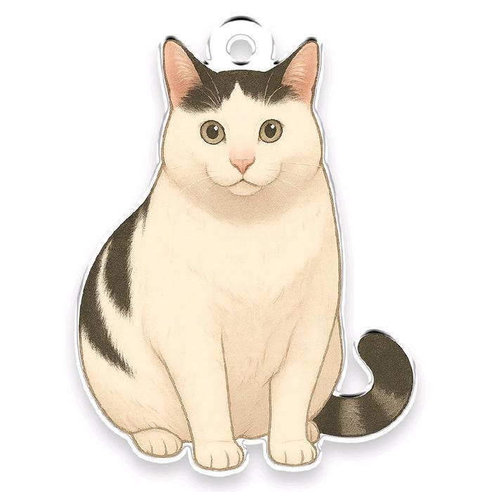 kucing meme, huh?, meh, helo gantungan kunci acrylic ganci - huh, 3 mm