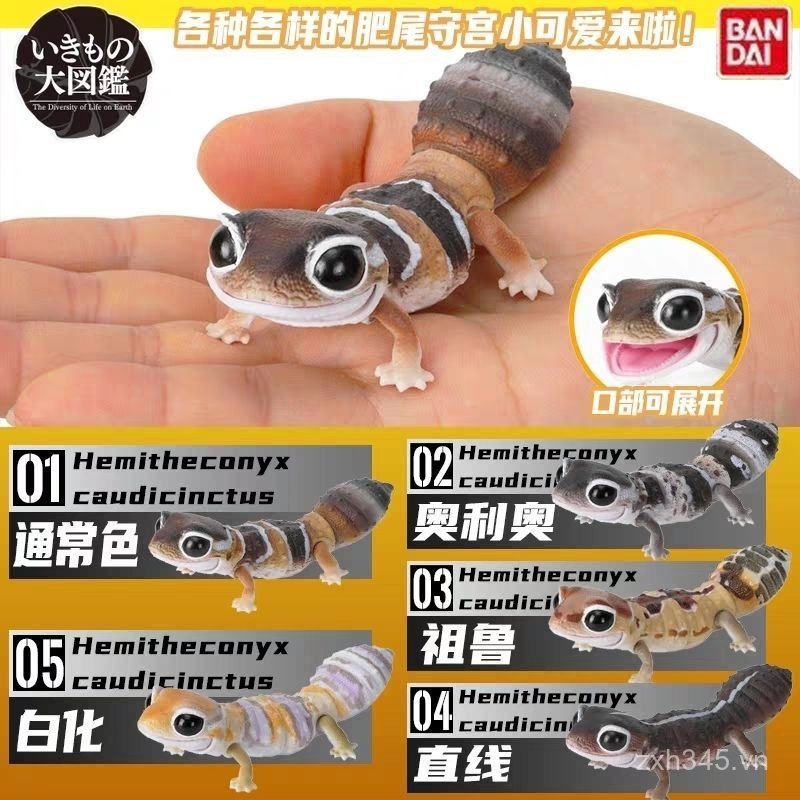 Hàng sẵn có Gecko Fat Tail Gecko Oreo Straight Line Zulu Whitening Hợp thời trang Chơi đồ trang trí 