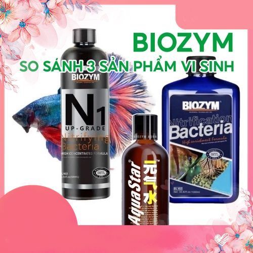 So sánh chi tiết giữa Biozym N1, Biozym Bacteria Fresh & Marine, và Biozym Aqua Star .namaquatic