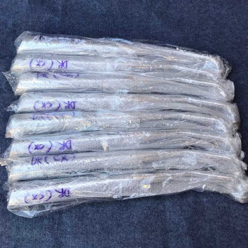 Bô 2543 Móc Nhẹ Có Chữ S Lắp Wave 50/100/110/Dream Đã Chế Cổ Lắp Đặt Như Zin Cực Chất. Đẹp