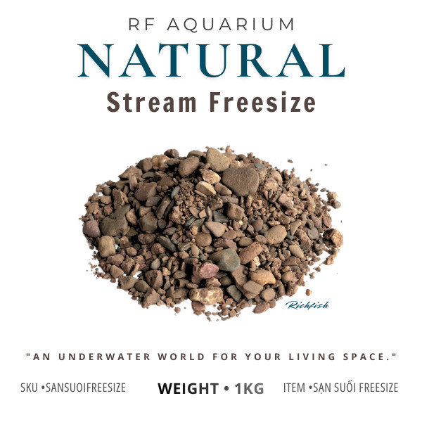 1kg Sạn suối Freesize