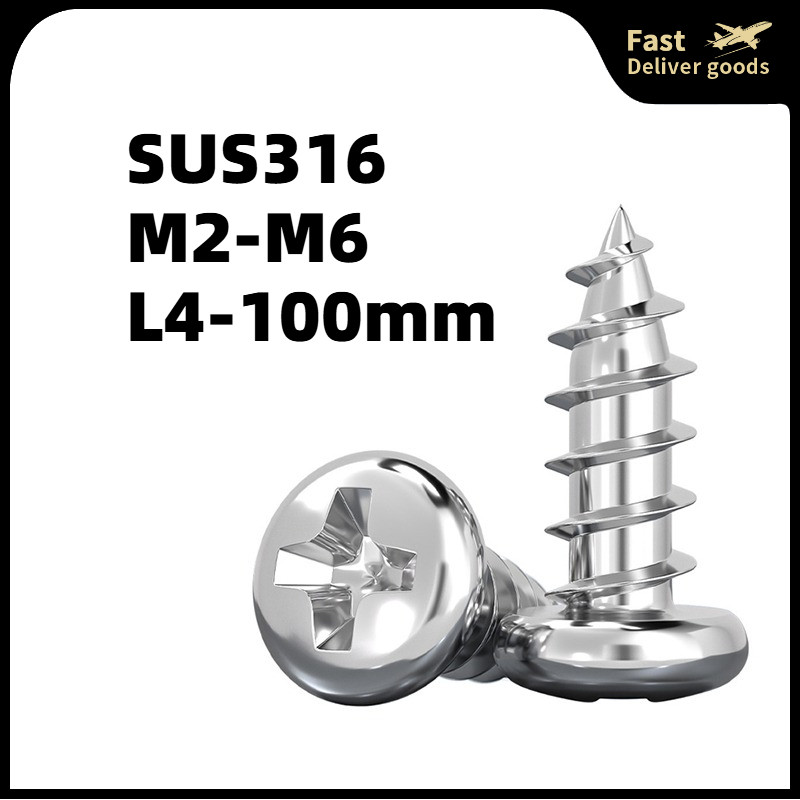 316 Đầu tròn bằng thép không gỉ Vít vít đuôi nhọn M2-M6
/316 Stainless Steel Self-Tapping Screw Phil