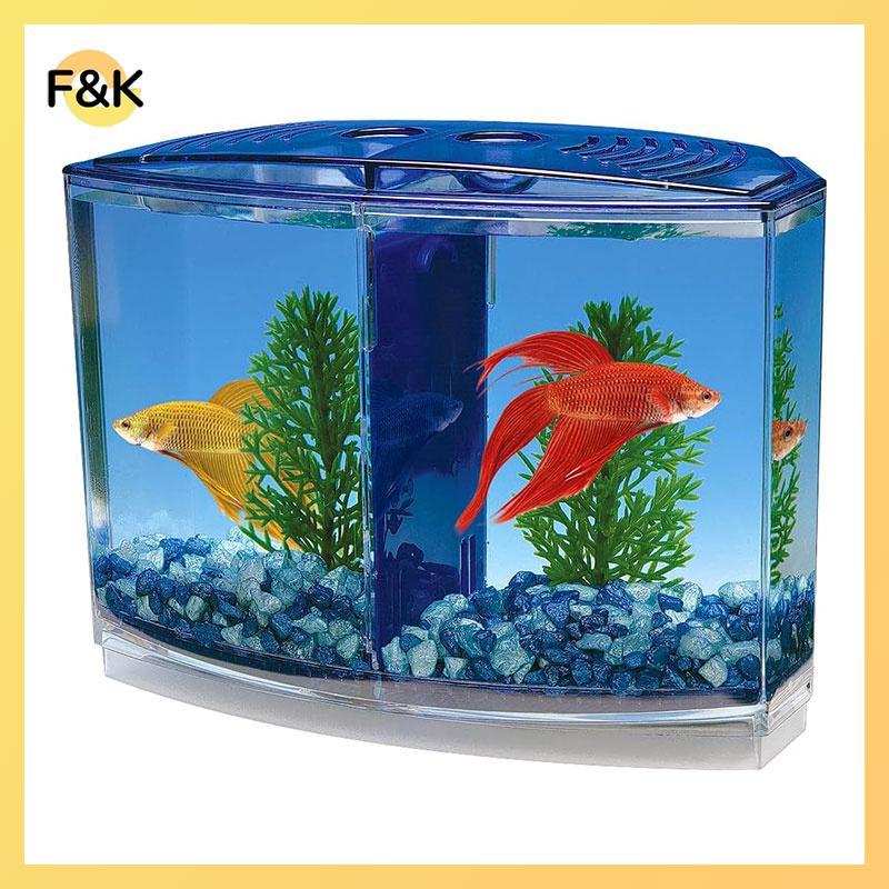 Hộp cá chiến đấu ngăn đôi lớn F & K Eco Rumble Fish Aquarium Mini Aquarium Hộp cách ly bằng nhựa Hộp