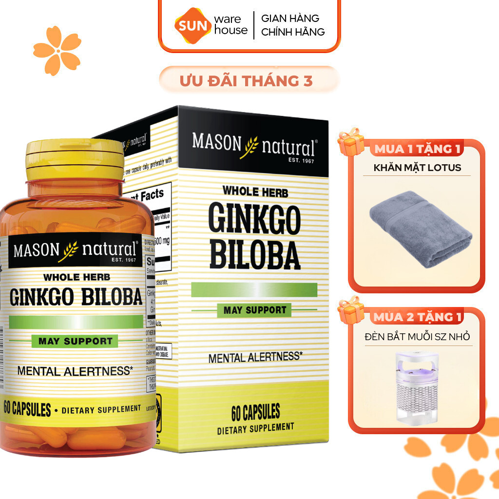 Viên Uống Mason Natural Ginkgo Biloba Hỗ Trợ Chức Năng Bộ Não, Hệ Thần Kinh 60 Viên