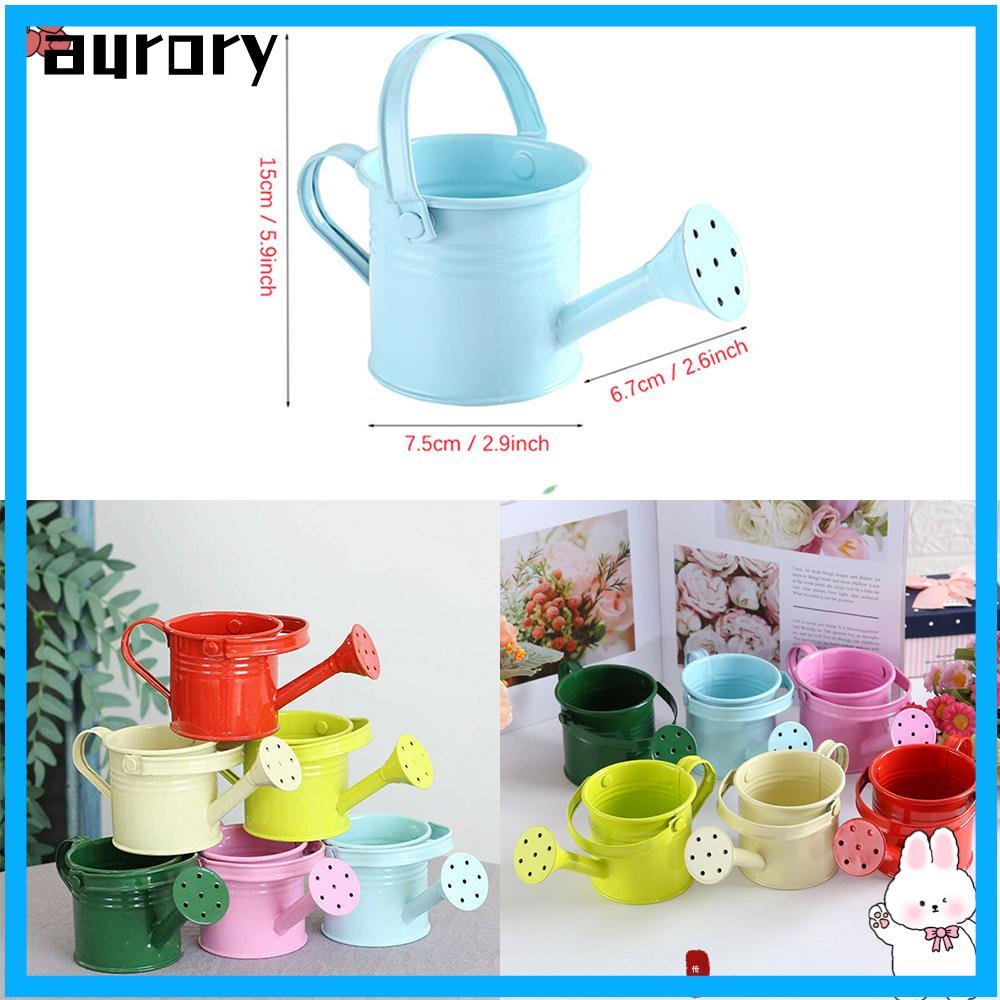 Bình tưới nước AURORY Vintage Kawaii Metal