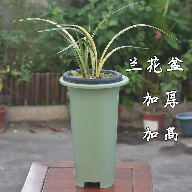 Chậu đặc biệt phong lan trong nhà Chậu hoa lan Chậu trồng hoa lan bằng nhựa Nhựa dày FJBN