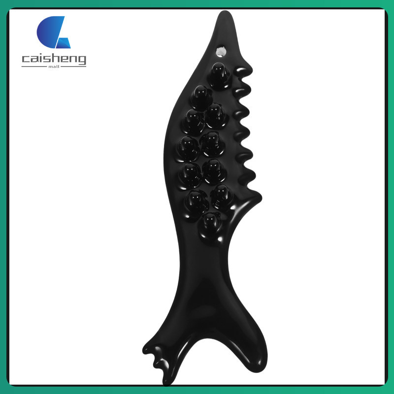 1 Bộ Dụng Cụ Guasha Mặt Thép Không Gỉ Cạo Mặt Dụng Cụ Massage Guasha Board caisheng