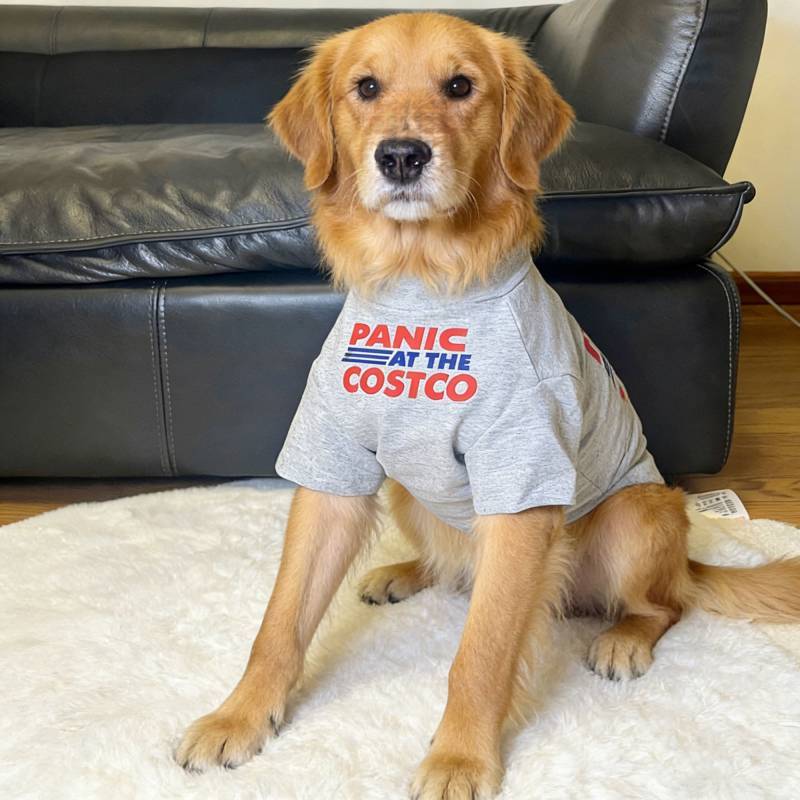 【Ready Stock】 Big Dog Thin Clothes Border Collie Golden Retriever Samo Clothes Dog Clothes Large Dog