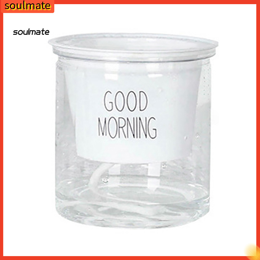 Linh hồn| 2 Bộ Hai Tầng Thủy Canh Epipremnum Aureum Tự tưới Hoa Trang Trí Nhà