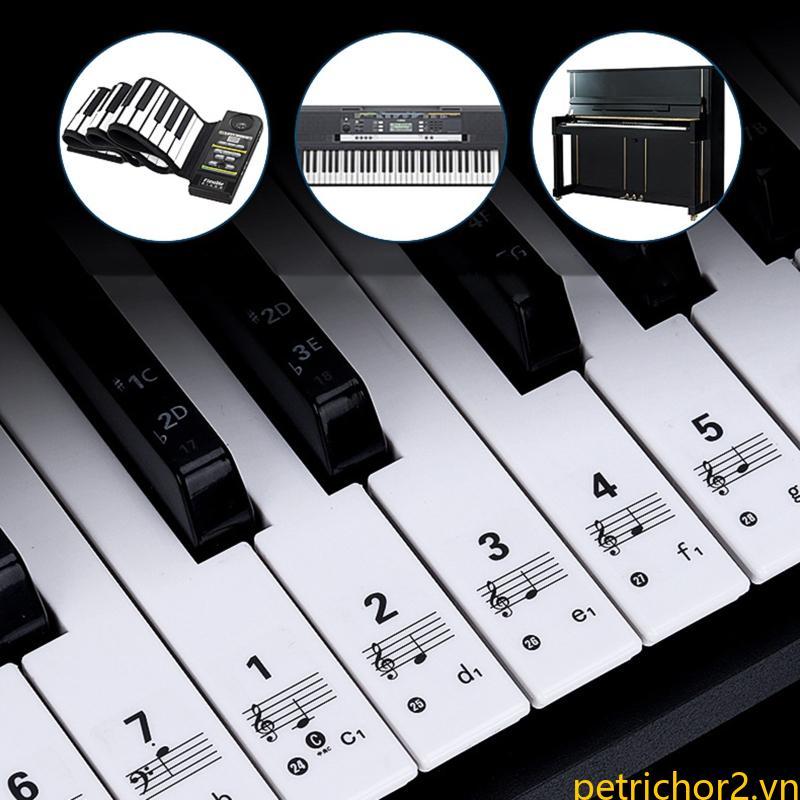 PET 54 61 88 Phím Piano Bàn Phím Dán Bàn Phím Điện Tử Phím Piano