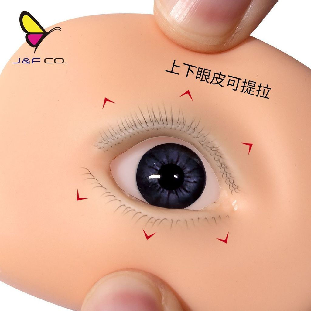 Premium Fine Hair Simulation Single Eye Eyelash Practice Tool Three-Layer Portable Liftable Advanced