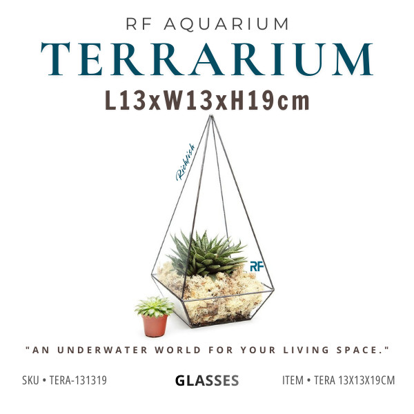 Bể Terrarium 13x13x19cm